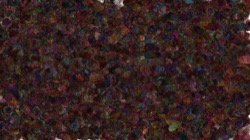 image: image from path repeaters