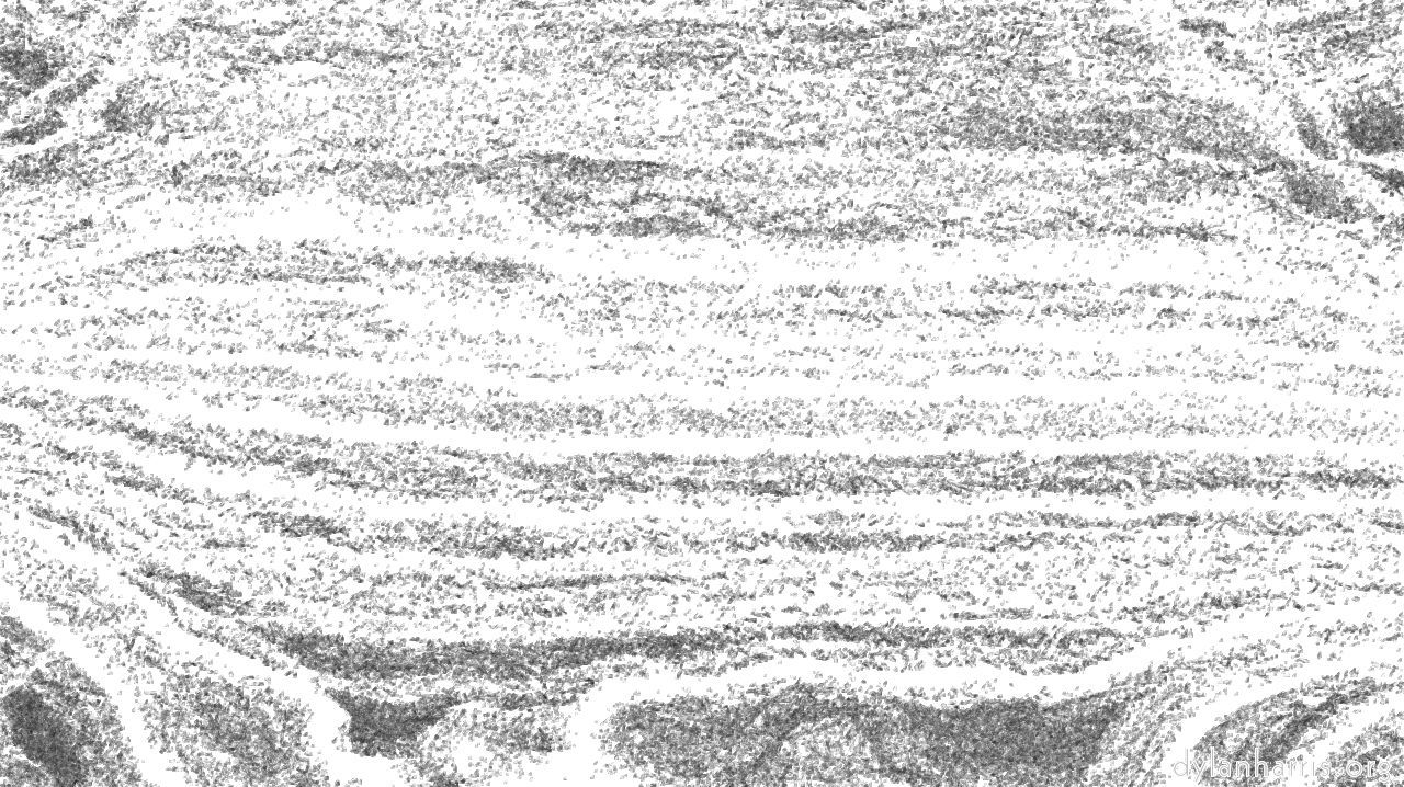 image: pencil sketch :: greasy8