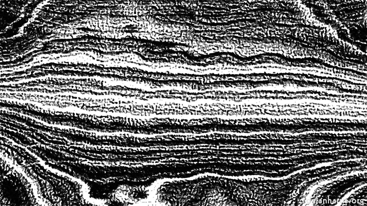 image: pencil sketch :: sketchrough5