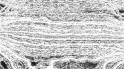 image: image from pencil sketch