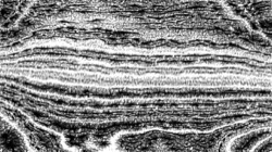 image: image from pencil sketch