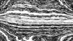 image: image from regionisers 3