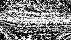 image: 4.0 collection thumbnail