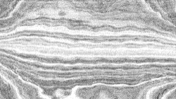 image: image from sketch ideas