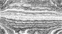 image: image from sketch ideas