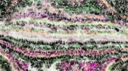 Image: image from vector paint