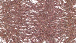 Image: image from vector paint