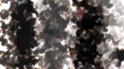 image: image from watercolour 3