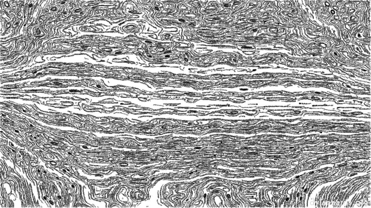 image: auto draw styles :: bwridger1