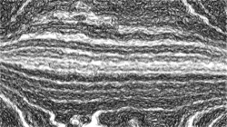 Image: image from hatching ideas