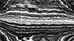 Image: image from hatching ideas