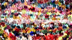 image: image from ribbon