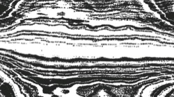 Image: 4.0&nbsp;collection&nbsp;a thumbnail