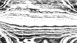 rough sketch scribblers :: bwpencilroughin2