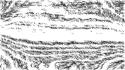 sketching :: blackpencil2