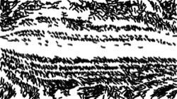 sketching :: tiltinkpen1