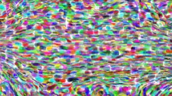 Image: 4.0&nbsp;collection&nbsp;a thumbnail