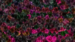 Image: image from textured strokes