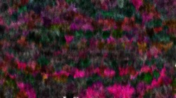 Image: image from textured strokes