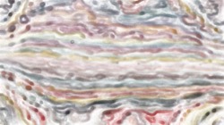 Image: 4.0&nbsp;collection&nbsp;a thumbnail