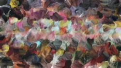 Image: image from wet