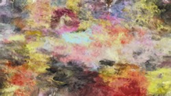 Image: image from wet