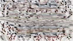 Image: image from whispy attractors