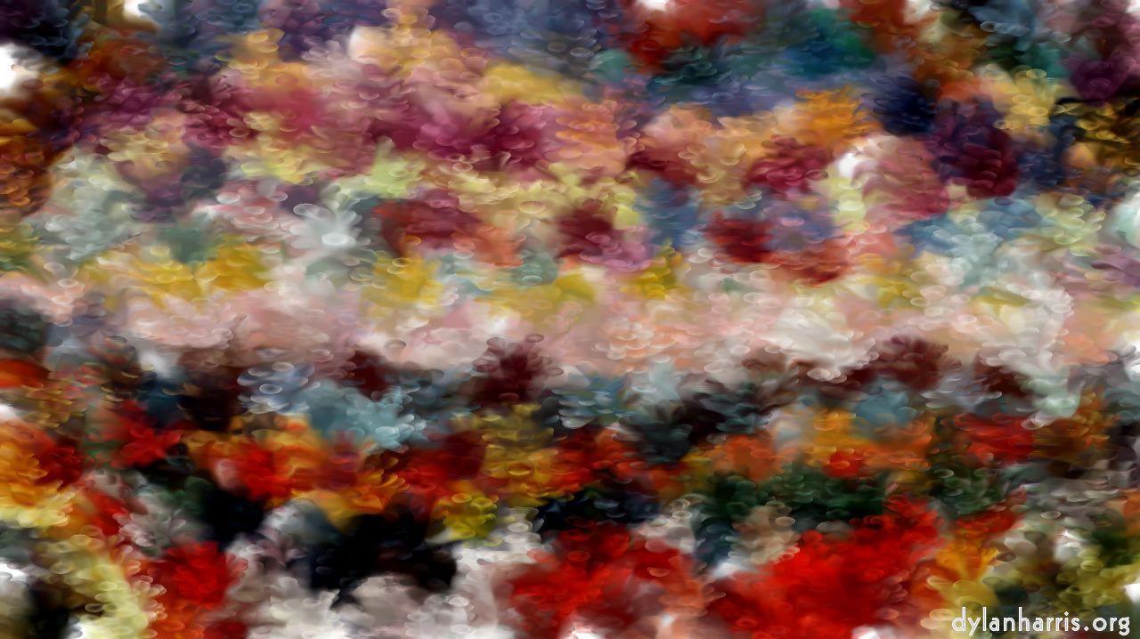 image: wild :: ovalsatturns1