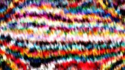 image: image from wild