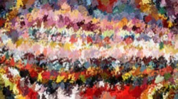 image: image from wild