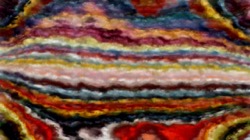 image: image from wild