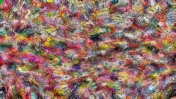 image: image from wild