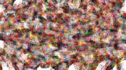 image: image from wild