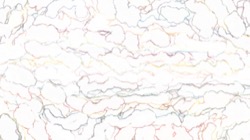 image: image from wild