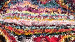 image: image from wild