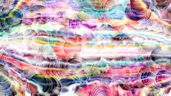 image: image from wild