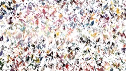 image: image from msg attractor ex