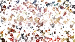 image: image from msg attractor ex