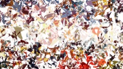 image: image from msg attractor ex