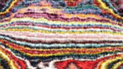 image: image from new1