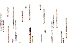 image: image from new1