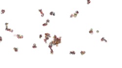 image: image from new1