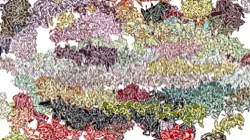 image: image from new1