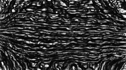 image: image from new2