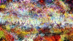 image: image from region fill brush movie test