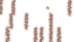 image: paint&nbsp;synthesiser&nbsp;classic thumbnail