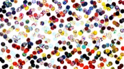 image: image from 3.0 tutorial