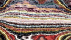 image: image from artistic cloners