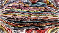 image: image from artistic cloners