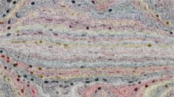 image: image from chalk